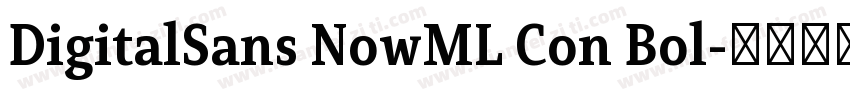 DigitalSans NowML Con Bol字体转换